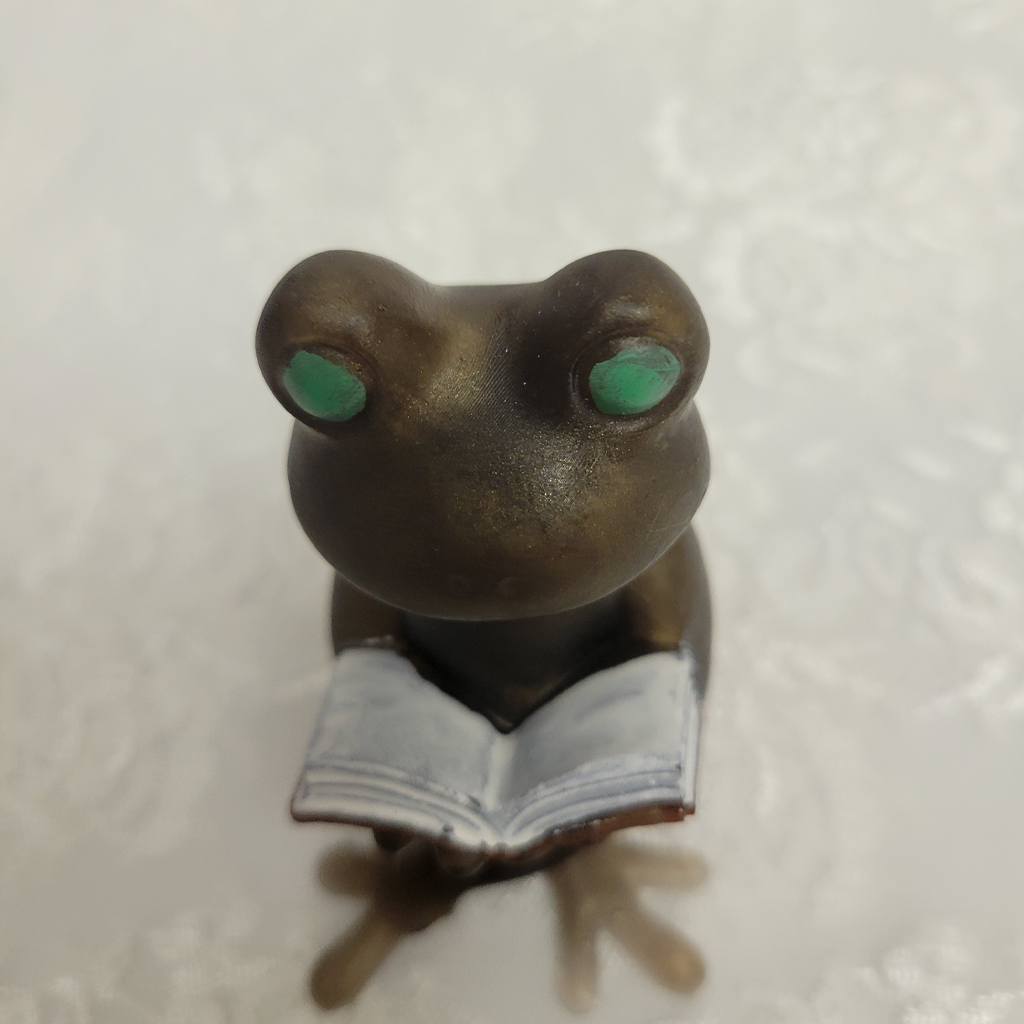 Frog Reading Book