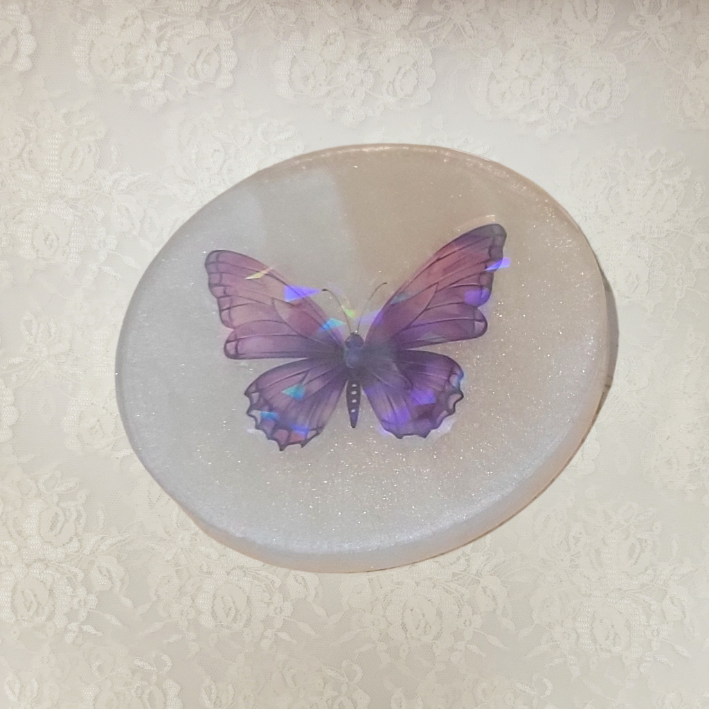 3D Butterfly Coasters and Holder