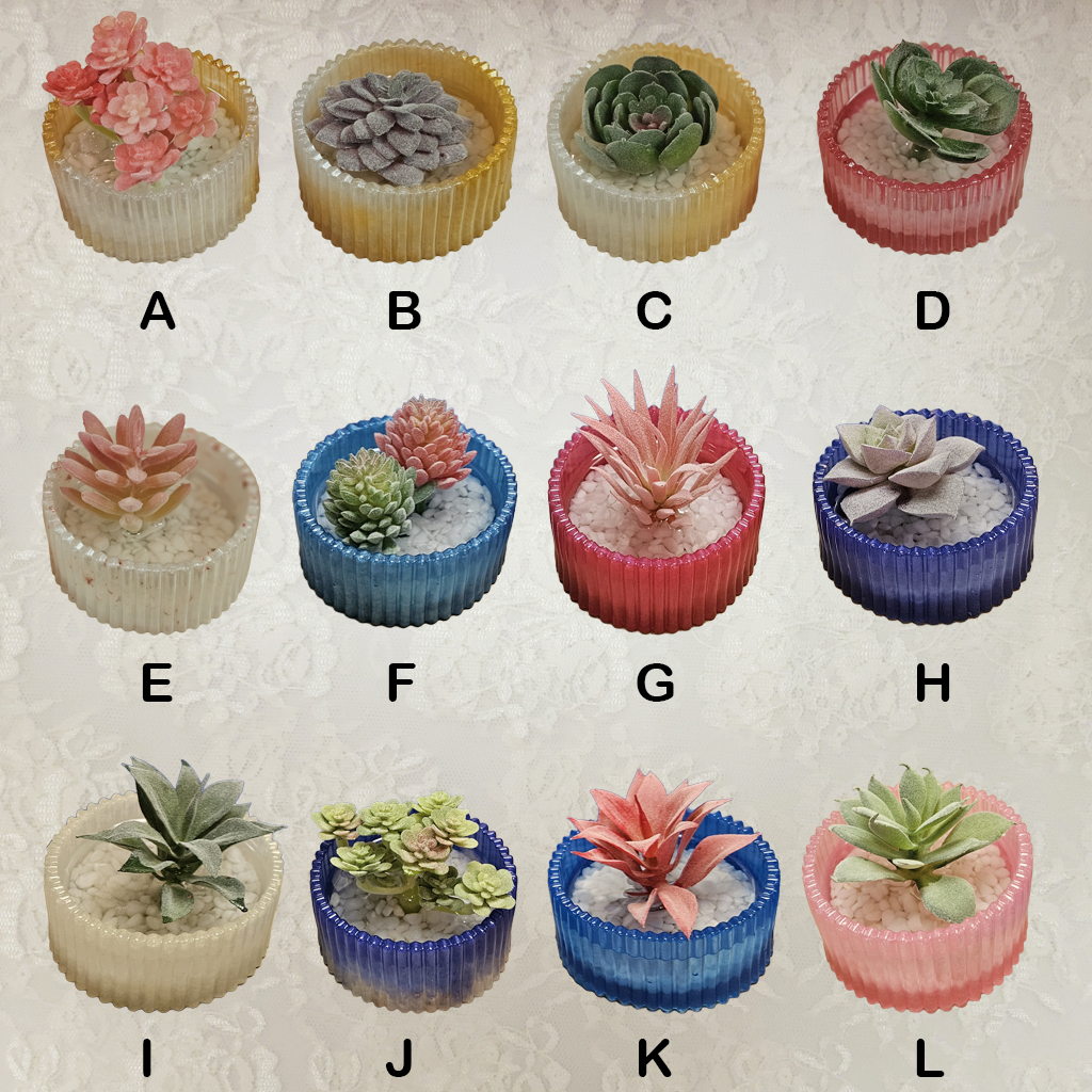 Planter – Resin with Succulants and White Stones