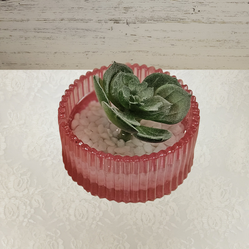Planter – Resin with Succulants and White Stones