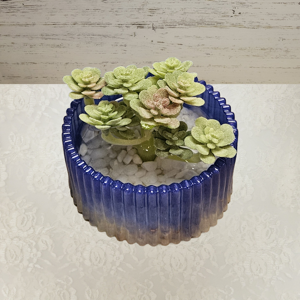 Planter – Resin with Succulants and White Stones