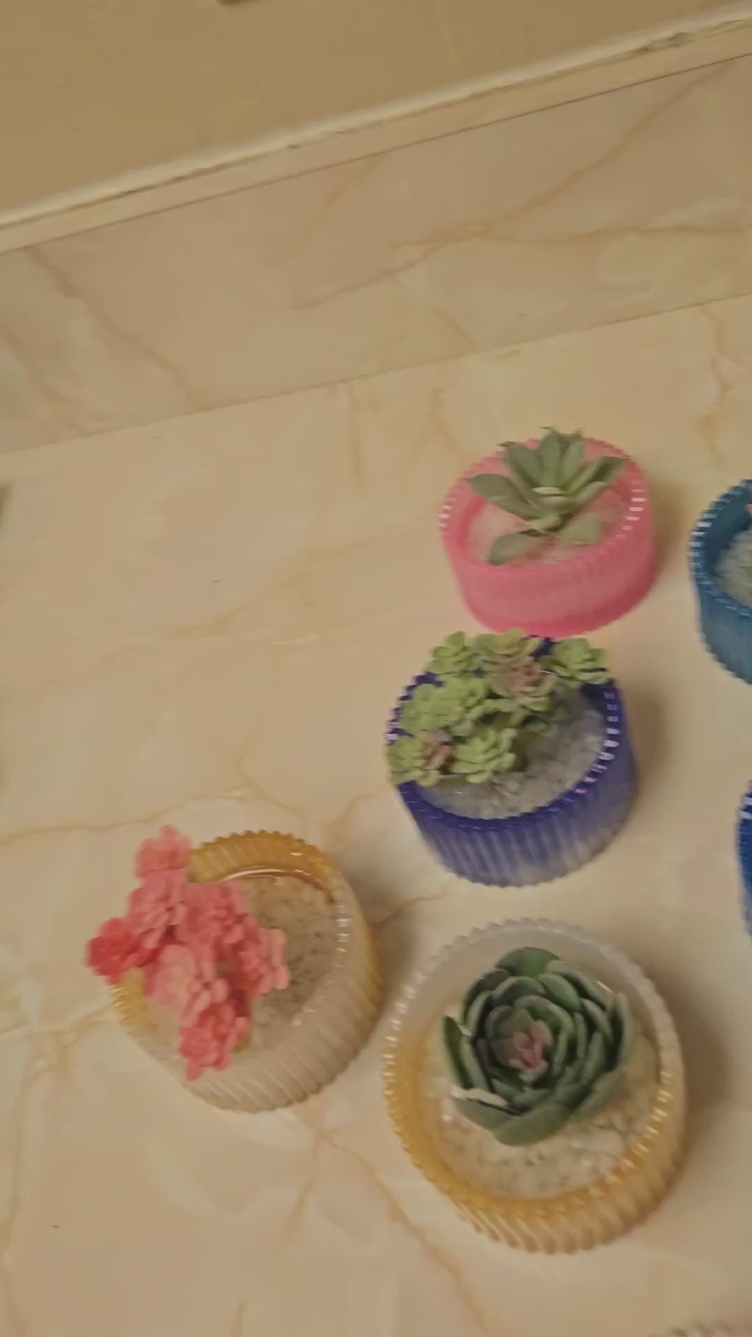 Planter – Resin with Succulants and White Stones