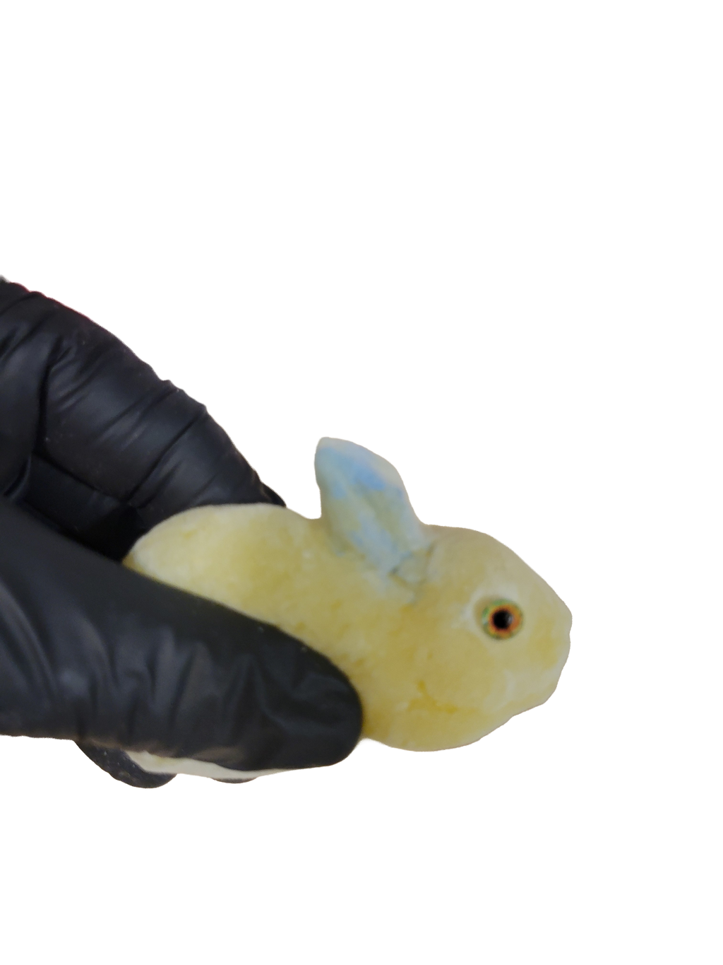 Squishy, Duck and Bunny 2-pack