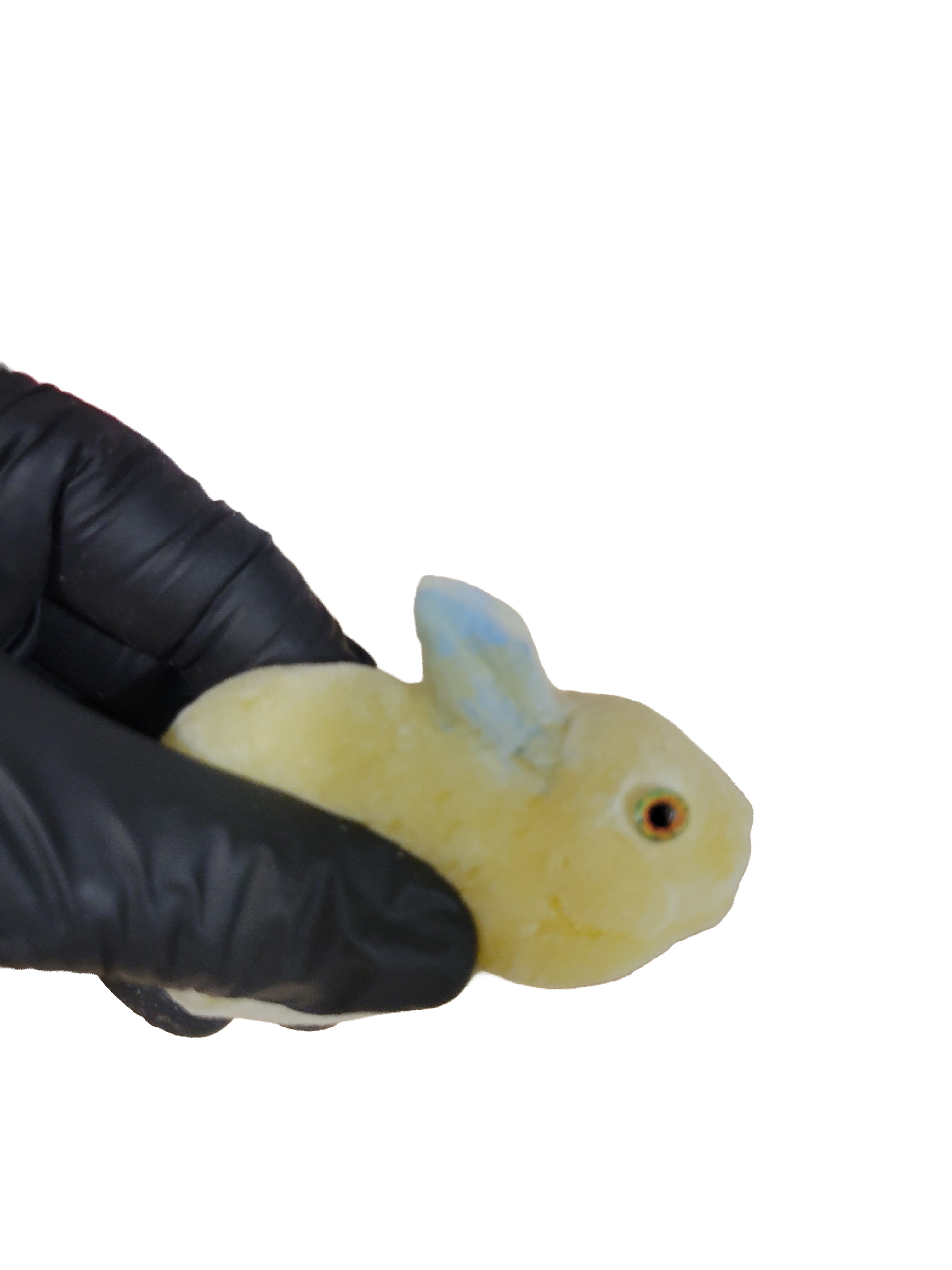 Squishy, Duck and Bunny 2-pack