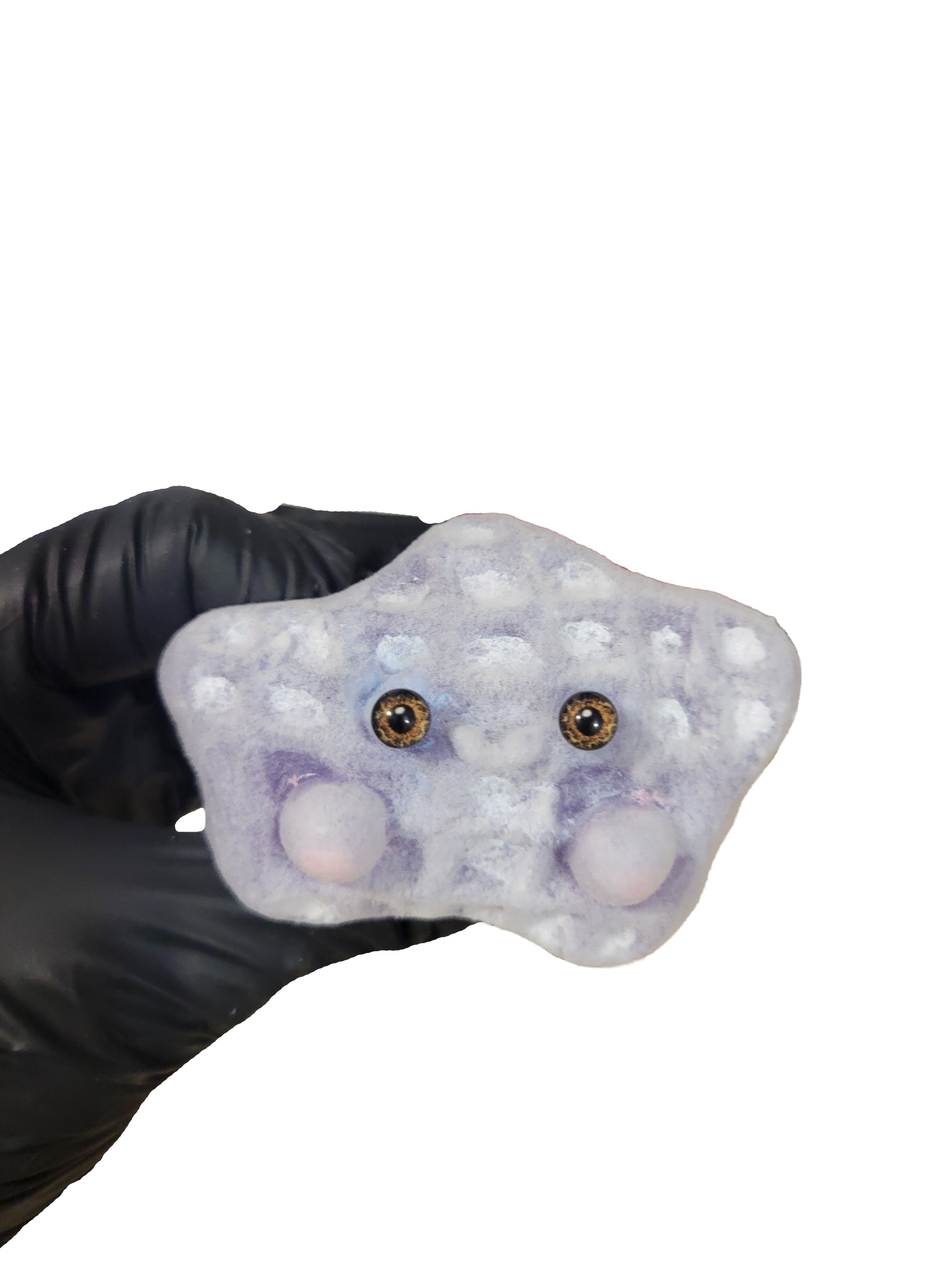 Squishy, Waffle and Paw