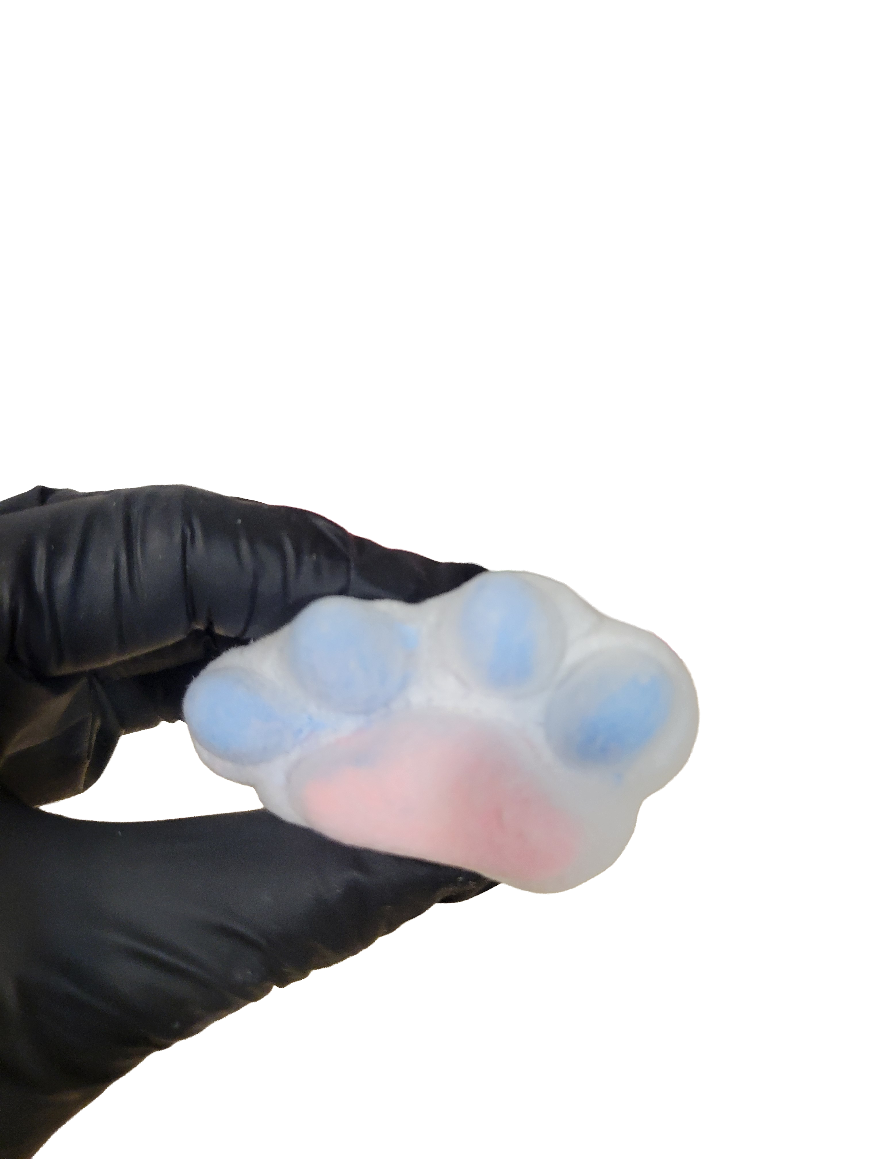 Squishy, Waffle and Paw